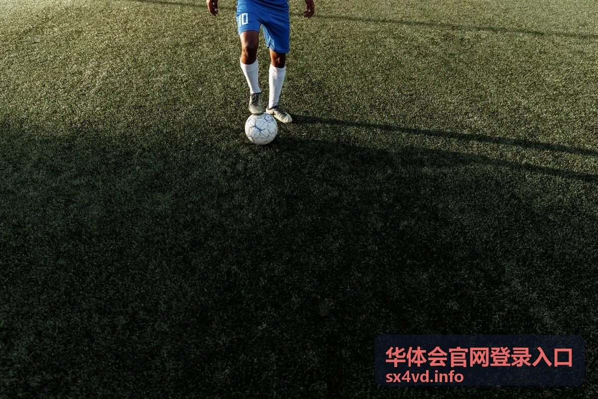 华体会赛事数据分析专栏封面